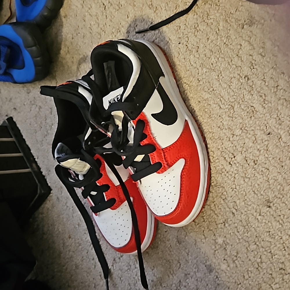 Nike dunks low retro